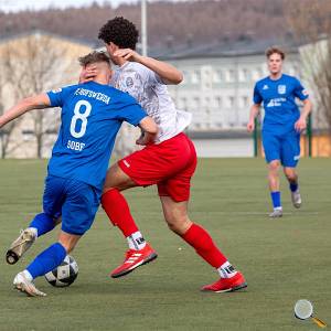 Foto: Bodo Hering / BFV 08